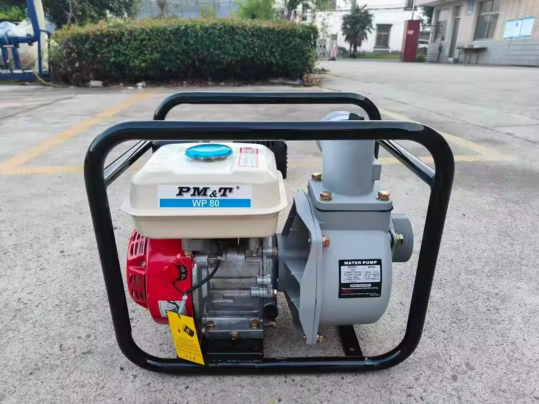 Parsun water pump